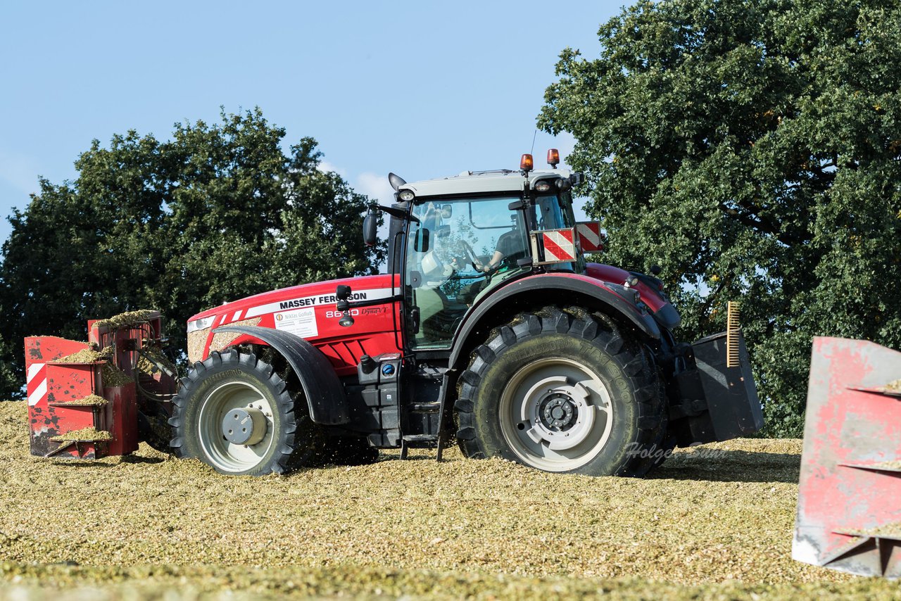 Bild 107 - Maisernte